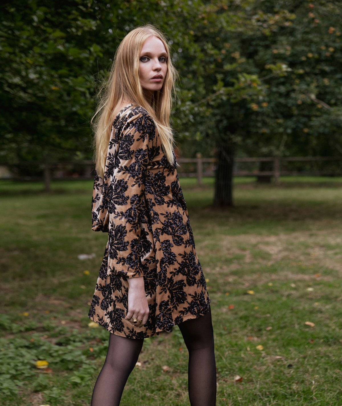 Nidodileda | Tan black velvet floral-sequined Dhaval mini dress