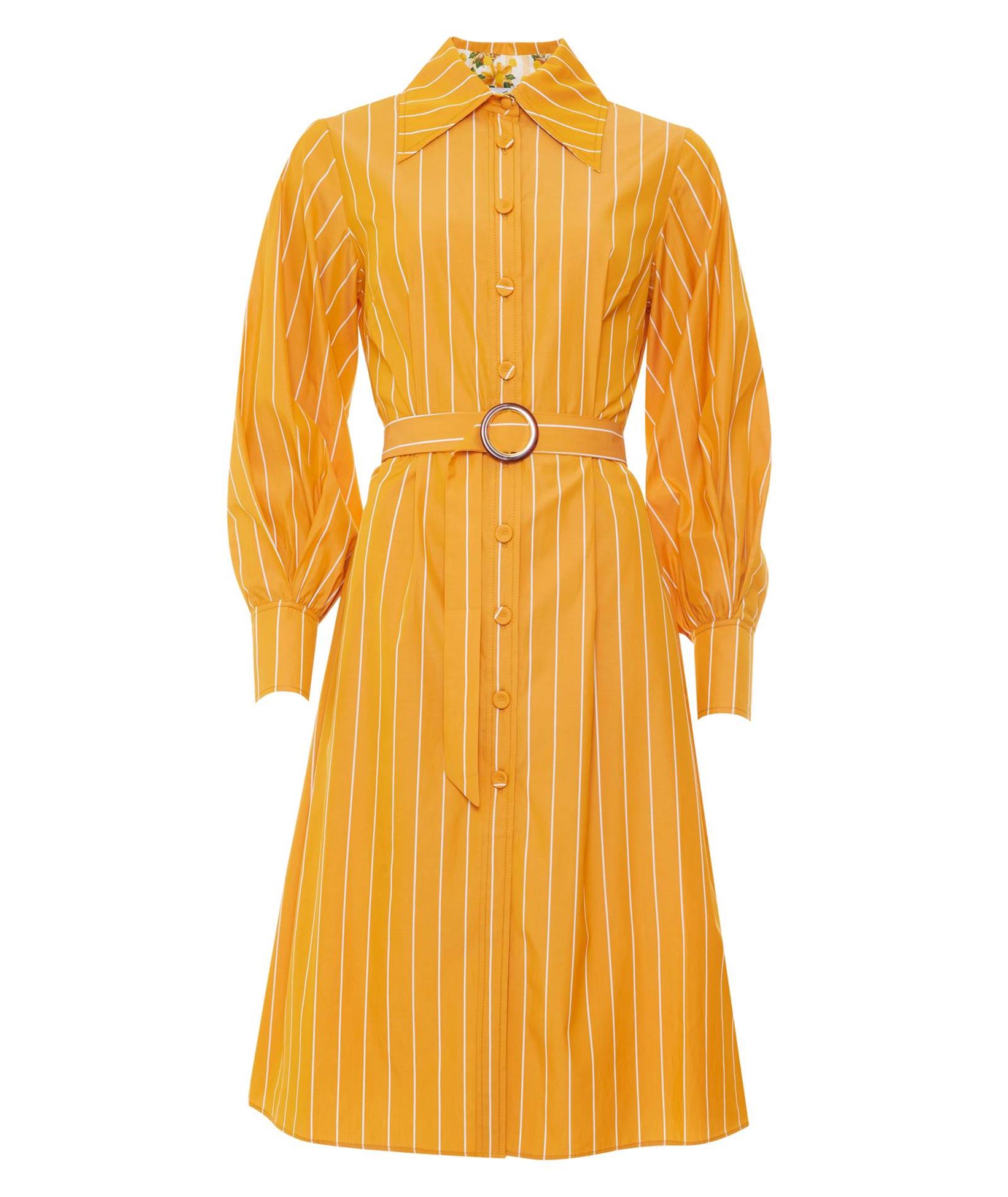 Evi Grintela Orange Striped Cotton Roy Midi Shirtdress < Dresses |  